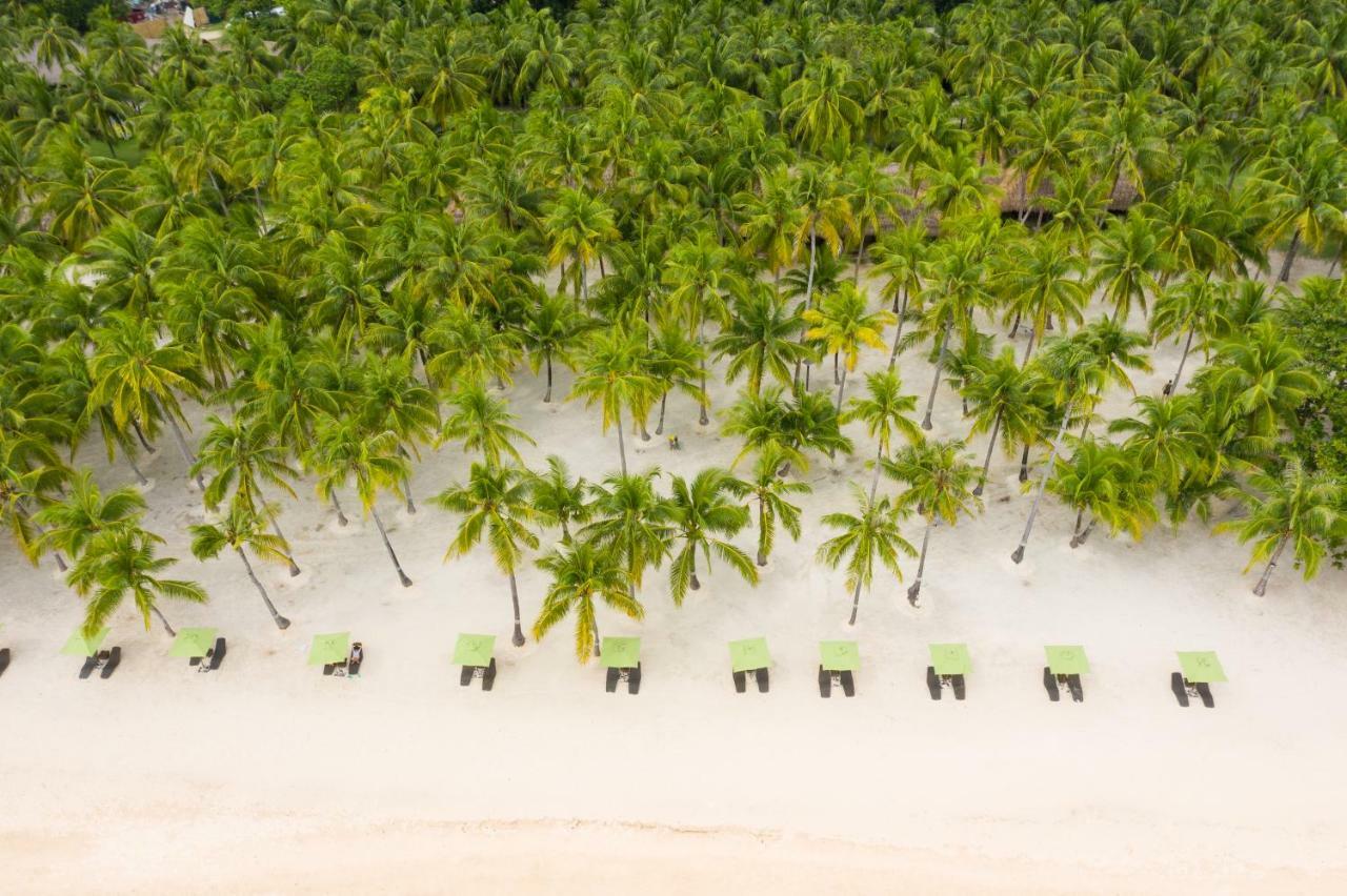 Oceanica Resort Panglao, Bohol Exterior photo Palm trees on the beach