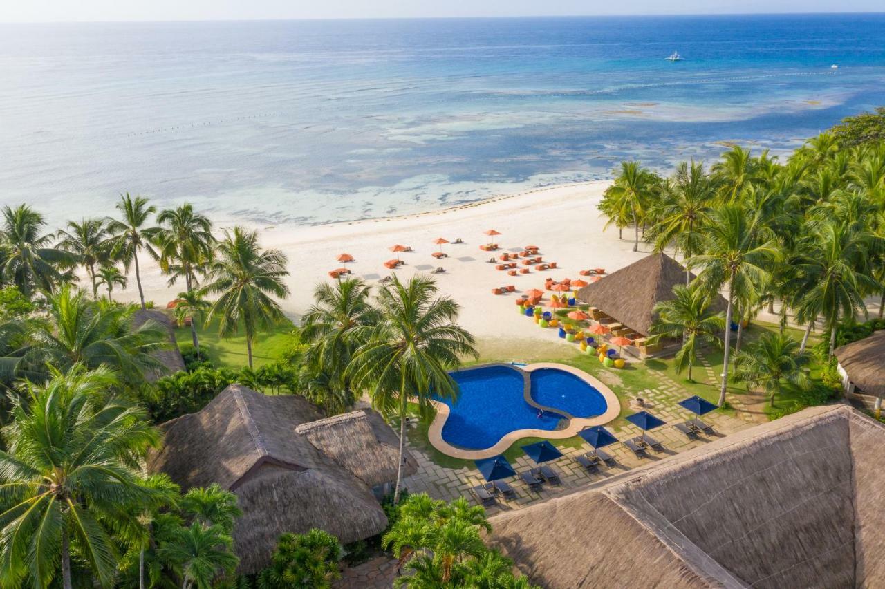 Oceanica Resort Panglao, Bohol Exterior photo Aerial view of the beach at the resort