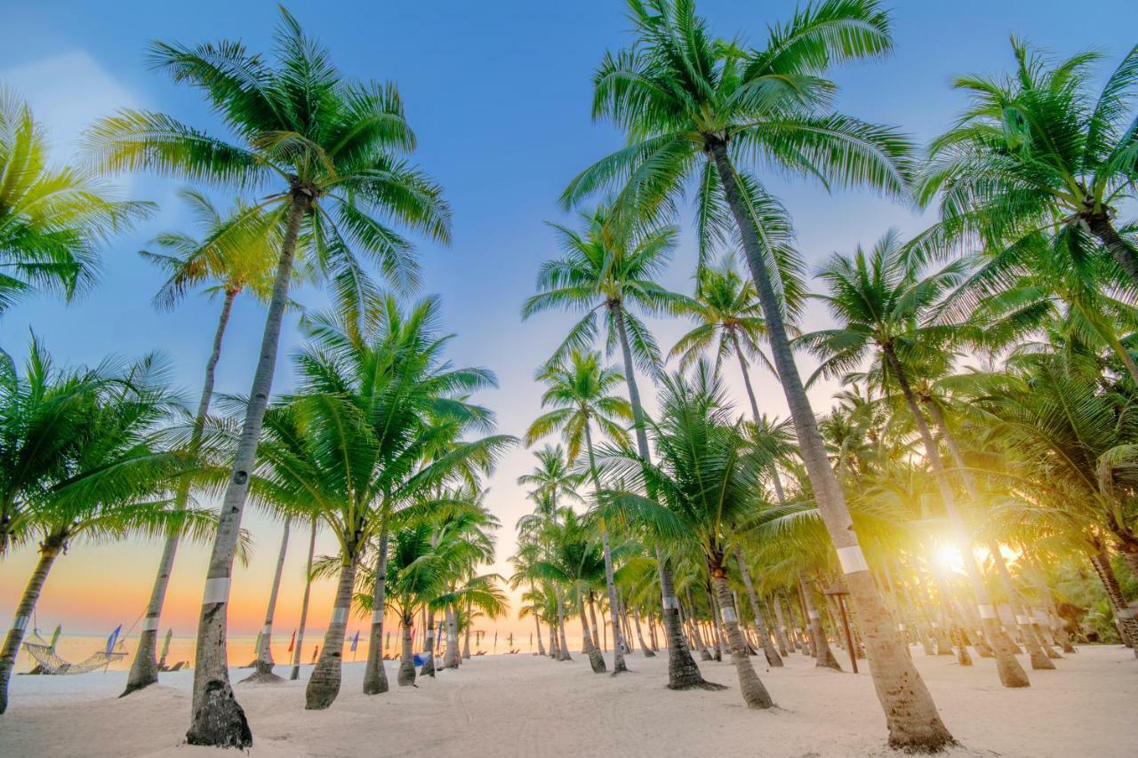 Oceanica Resort Panglao, Bohol Exterior photo Palm trees on a beach